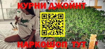 mdpv Новозыбков