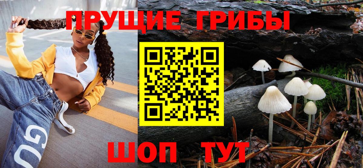 Псилоцибиновые грибы Psilocybe Чистополь