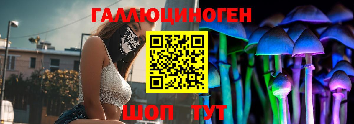 Галлюциногенные грибы Psilocybe  Вход с VPN  Чистополь 