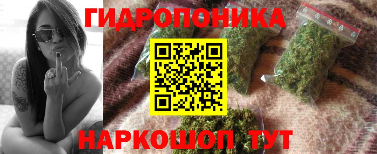 Конопля MAZAR Чистополь